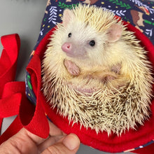 Load image into Gallery viewer, Navy festive party animals padded bonding bag, carry bag for hedgehog. Fleece lined pet tote.
