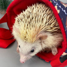 Load image into Gallery viewer, Navy festive party animals padded bonding bag, carry bag for hedgehog. Fleece lined pet tote.