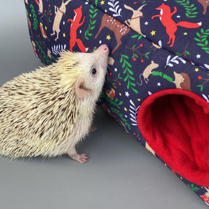 Navy festive party animals corner house. Hedgehog and small pet cube house.