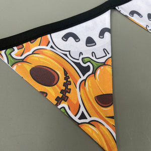 Pumpkin and skulls Halloween miniature bunting. Viv decorations. Cage decorations.