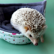 Load image into Gallery viewer, Hogs in pots hedgehog cuddle cup. Pet sofa. Small pet beds. Fleece sofa bed.