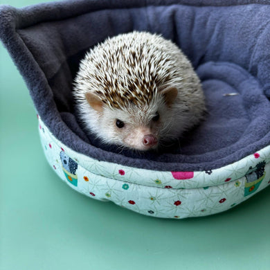 Hogs in pots hedgehog cuddle cup. Pet sofa. Small pet beds. Fleece sofa bed.