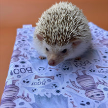 Load image into Gallery viewer, Halloween mummy and ghosts snuggle sack. Sleeping bag for hedgehogs or guinea pigs. Fleece lined.