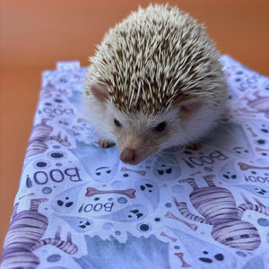 Halloween mummy and ghosts snuggle sack. Sleeping bag for hedgehogs or guinea pigs. Fleece lined.