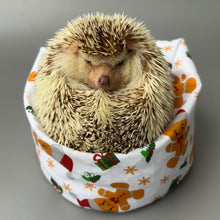 Load image into Gallery viewer, Christmas gingerbread man mini bean bag photo prop