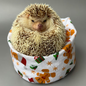 Christmas gingerbread man mini bean bag photo prop