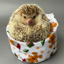 Load image into Gallery viewer, Christmas gingerbread man mini bean bag photo prop