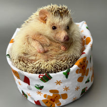 Load image into Gallery viewer, Christmas gingerbread man mini bean bag photo prop