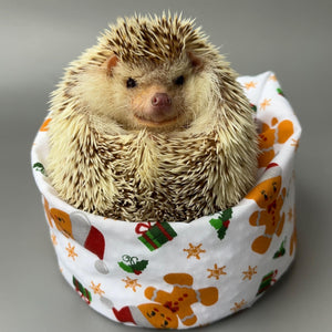 Christmas gingerbread man mini bean bag photo prop