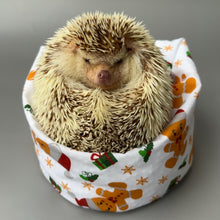 Load image into Gallery viewer, Christmas gingerbread man mini bean bag photo prop
