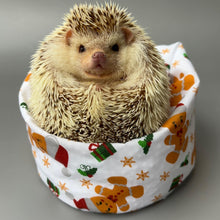 Load image into Gallery viewer, Christmas gingerbread man mini bean bag photo prop