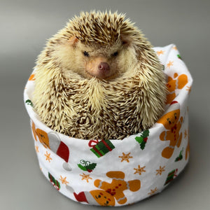 Christmas gingerbread man mini bean bag photo prop