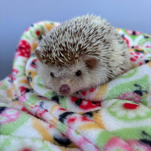 Load image into Gallery viewer, Ladybird cuddle fleece handling blankets for small pets like hedgehogs, guinea pigs, rats, etc. Fleece lap blankets.