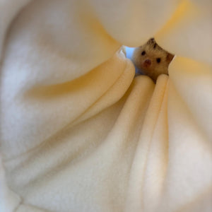 Shooting stars mini set. Tunnel, snuggle sack and toys. Fleece bedding. Hedgehog fleece tunnel and pouch.