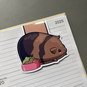 Magnetic guinea pig bookmark.