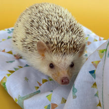 Load image into Gallery viewer, Clouds and bunting mini set. Tunnel, snuggle sack and toys. Hedgehog fleece tunnel and pouch.