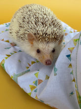 Load image into Gallery viewer, Clouds and bunting snuggle sack, snuggle pouch, sleeping bag for hedgehog and small guinea pigs.