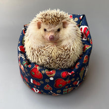 Load image into Gallery viewer, Christmas mini bean bag photo prop