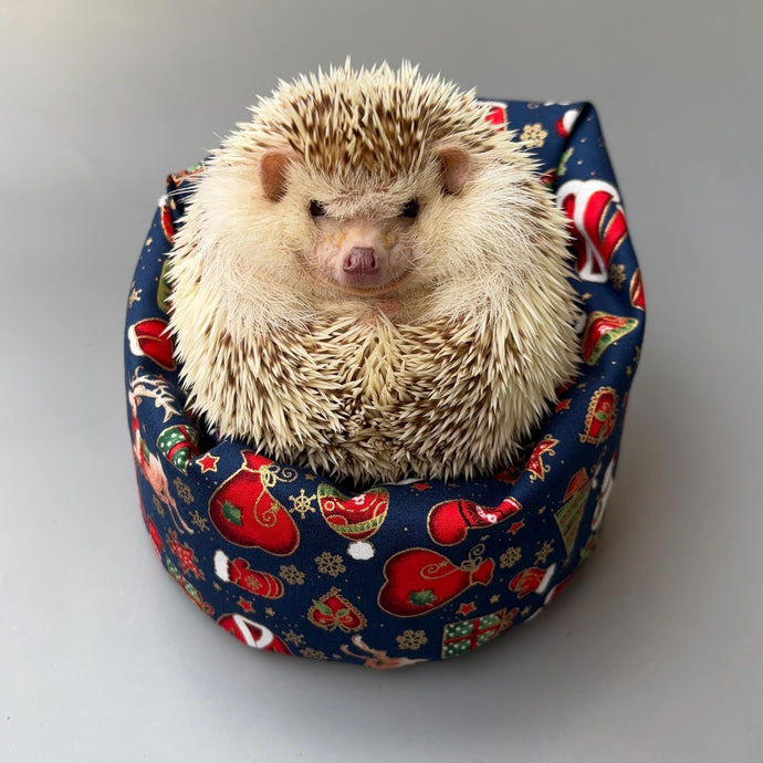Christmas mini bean bag photo prop