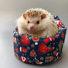 Load image into Gallery viewer, Christmas mini bean bag photo prop