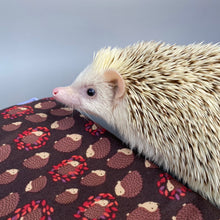 Load image into Gallery viewer, Autumn Hedgehogs cosy snuggle sack, snuggle pouch, sleeping bag. Small animal bedding. Fleece lined hedgehog pouch. (Copy)