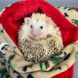 Dinosaur and red light cuddle fleece handling blankets for small pets.