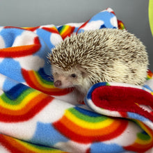 Load image into Gallery viewer, Rainbow and red light cuddle fleece handling blankets for small pets.