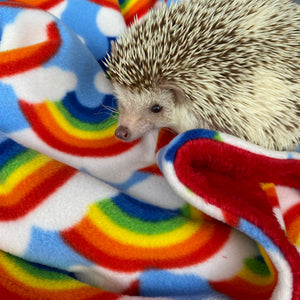 Rainbow and red light cuddle fleece handling blankets for small pets.