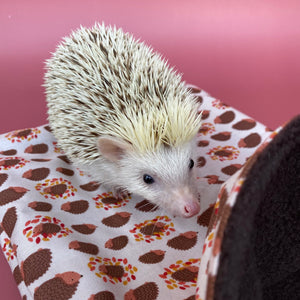Autumn Hedgehogs cosy snuggle sack, snuggle pouch, sleeping bag. Small animal bedding. Fleece lined hedgehog pouch. (Copy) (Copy)