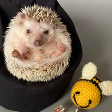 Load image into Gallery viewer, Mini bean bag photo prop. Hedgehog bean bag.