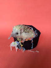 Load image into Gallery viewer, hedgehog sitting on a mini bean bag with cake
