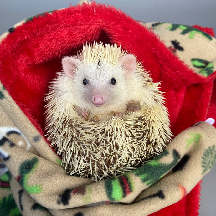 Dinosaur and red light cuddle fleece handling blankets for small pets.