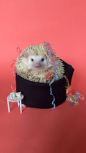 Load image into Gallery viewer, Mini bean bag photo prop. Hedgehog bean bag.