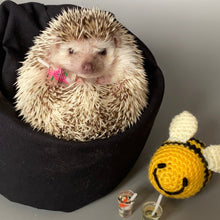 Load image into Gallery viewer, Mini bean bag photo prop. Hedgehog bean bag.