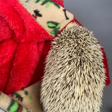 Load image into Gallery viewer, Dinosaur and red light cuddle fleece handling blankets for small pets.