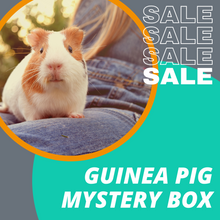 Load image into Gallery viewer, SALE: Guinea Pig Mystery Box