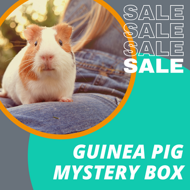SALE: Guinea Pig Mystery Box (Available 23rd November)