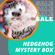 Load image into Gallery viewer, SALE: Hedgehog Mystery Box