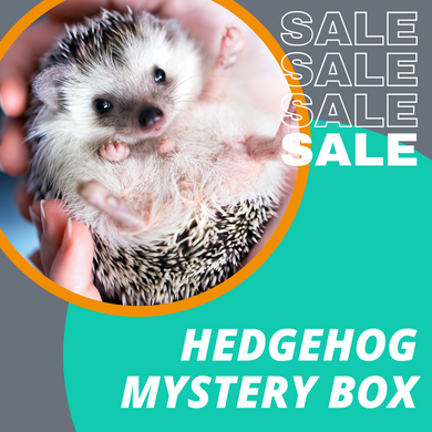 SALE: Hedgehog Mystery Box (Available 23rd November)