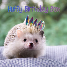 Load image into Gallery viewer, HUFFY BIRTHDAY: Hedgehog Birthday Box. Birthday gifts and props.
