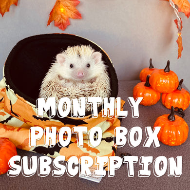 SUBSCRIPTION: The Hoghouse Monthly Photo Box Information (Not sold out - please read description for subscription details)