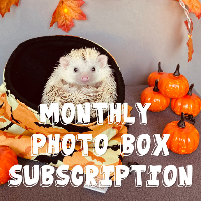 SUBSCRIPTION: The Hoghouse Monthly Photo Box Information (Not sold out - please read description for subscription details)