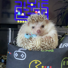 Load image into Gallery viewer, Remote controller photo prop. Gamer prop for photos.