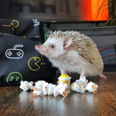Mini bucket of popcorn for photos. Photo props