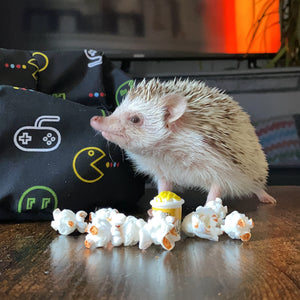 Mini bucket of popcorn for photos. Photo props