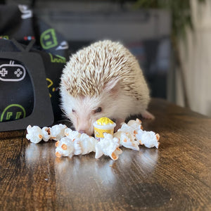 Mini bucket of popcorn for photos. Photo props