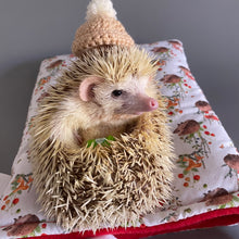 Load image into Gallery viewer, Crochet winter hat for photo props. Mini bobble hat for holiday photos.