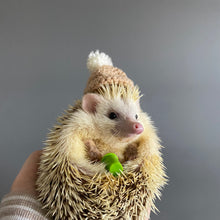 Load image into Gallery viewer, Crochet winter hat for photo props. Mini bobble hat for holiday photos.