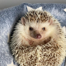 Load image into Gallery viewer, Glow in the dark stars cuddle fleece handling blankets for hedgehogs and small pets.