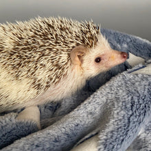 Load image into Gallery viewer, Glow in the dark stars cuddle fleece handling blankets for hedgehogs and small pets.